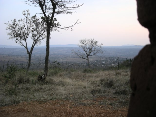 Tz14