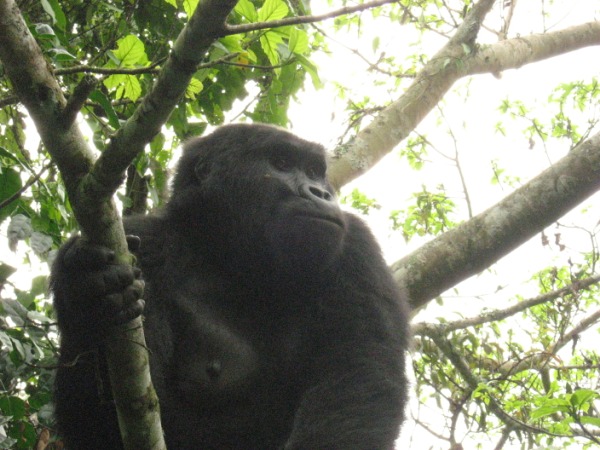 Uganda14